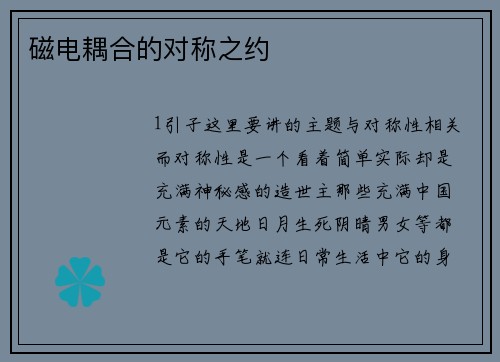 磁电耦合的对称之约