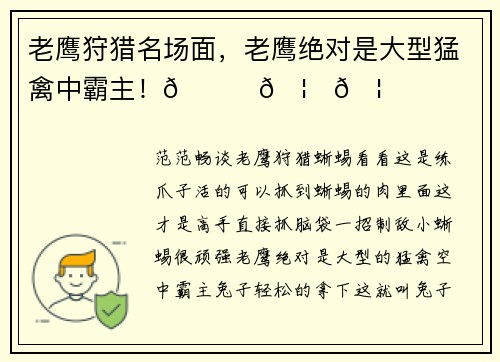 老鹰狩猎名场面，老鹰绝对是大型猛禽中霸主！🐍🦁🦅